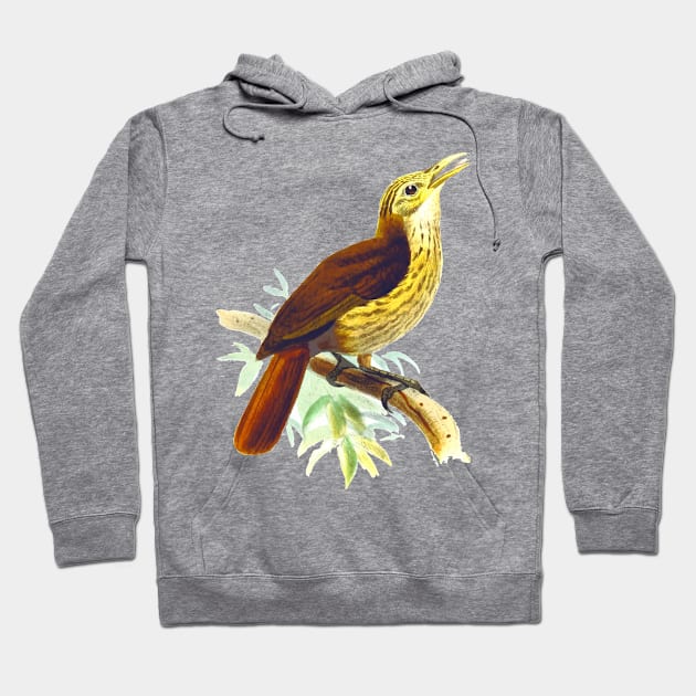 Cute birds #4 Hoodie by LeonLedesma